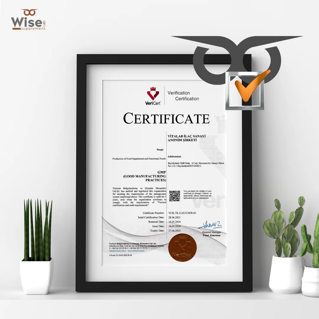 GMP GOOD MANUFACTURING PRACTICES