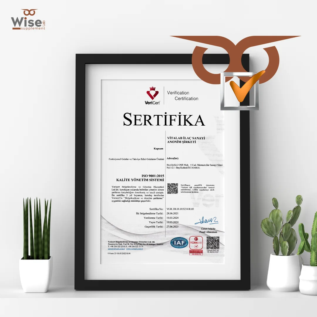 ISO 9001:2015 KALİTE YÖNETİM SİSTEMİ